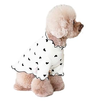 GG DENIM LINE ハート柄犬服 GG DENIM LINE ハート柄犬服